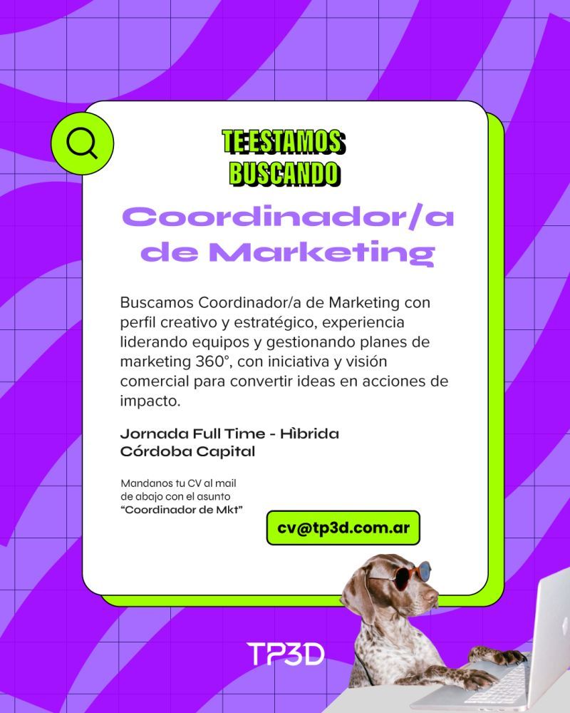Oferta 24339