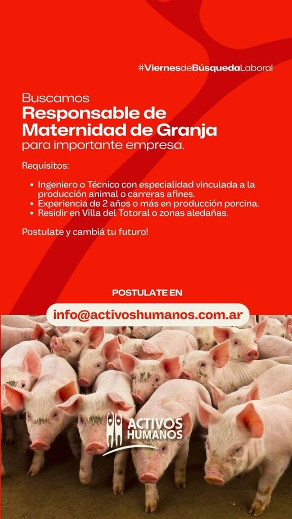 Oferta 23899
