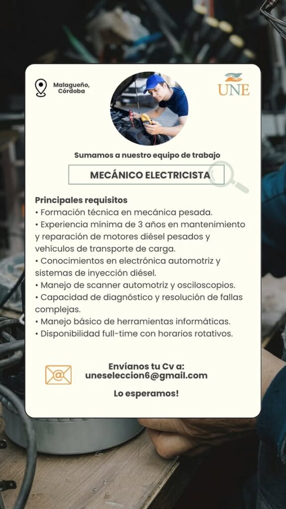 Oferta 23979