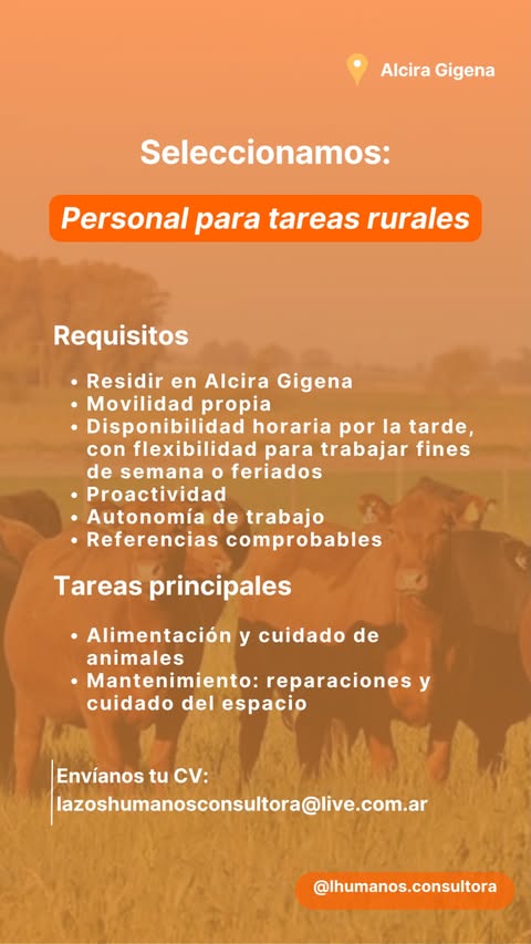 Oferta 24543