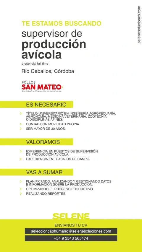 Oferta 24556