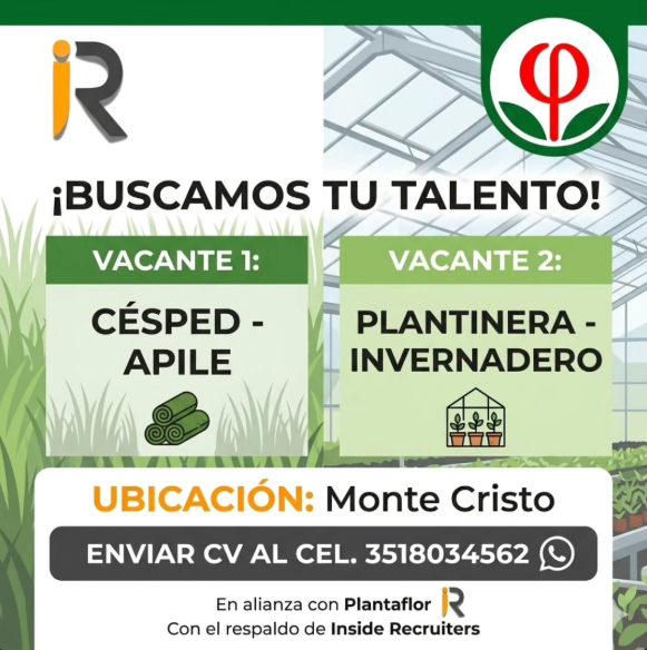 Oferta 23810