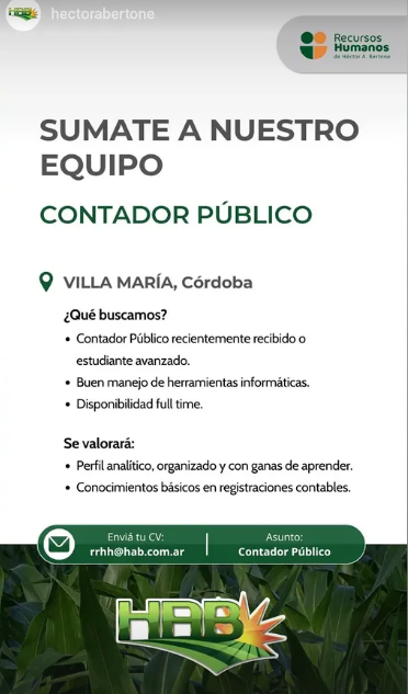 Oferta 24031