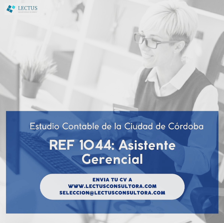 Oferta 24203