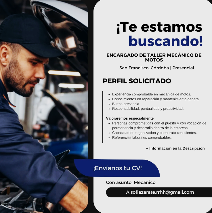 Oferta 24205