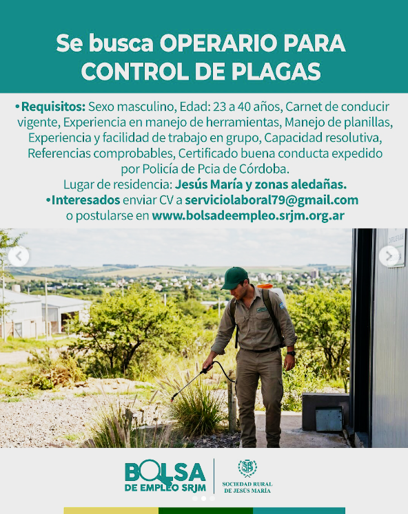 Oferta 24208
