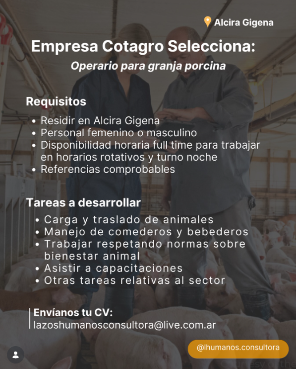 Oferta 24224