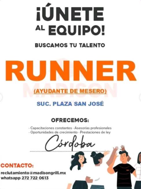 Oferta 24229