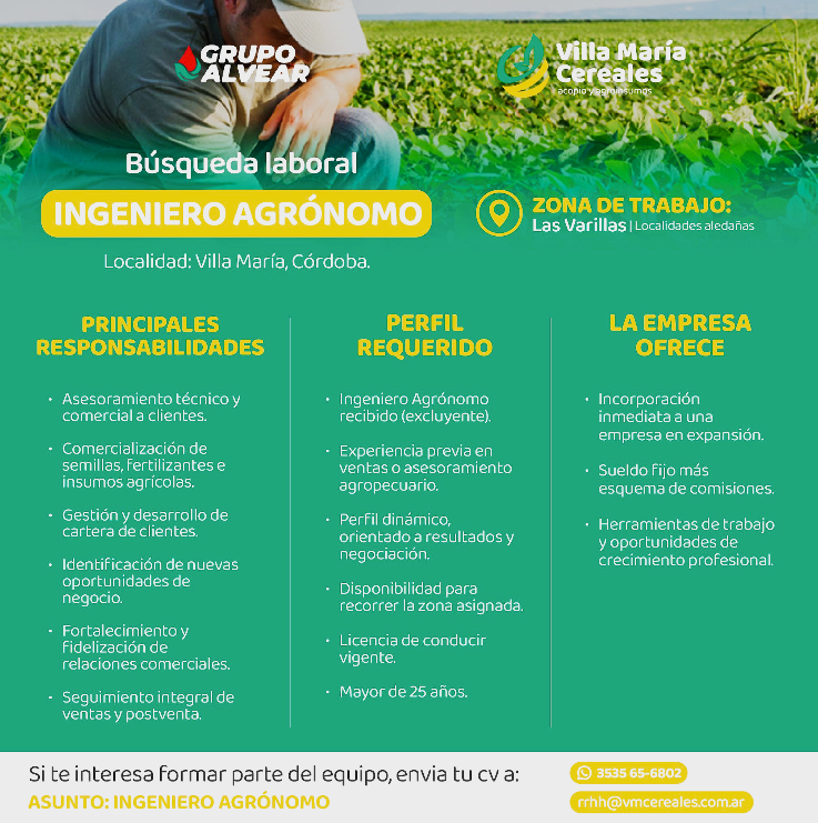 Oferta 24343