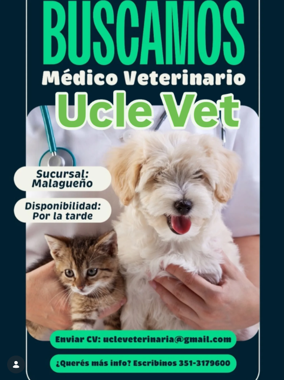 Oferta 24413
