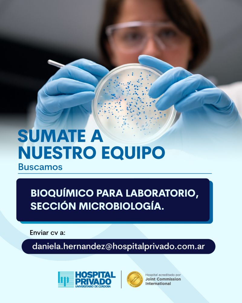 Oferta 25029