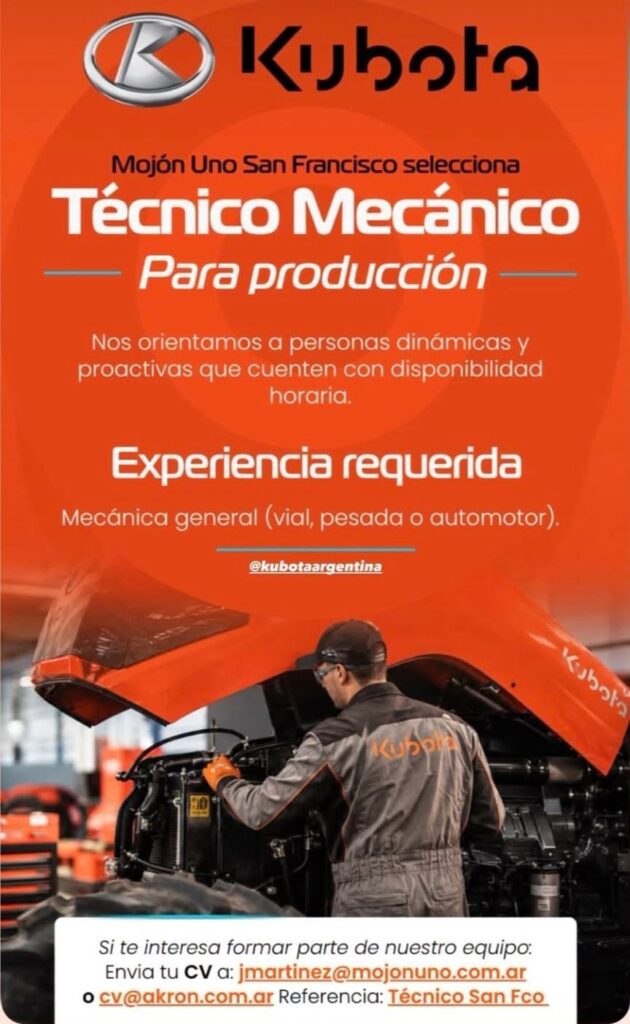 Oferta 24826