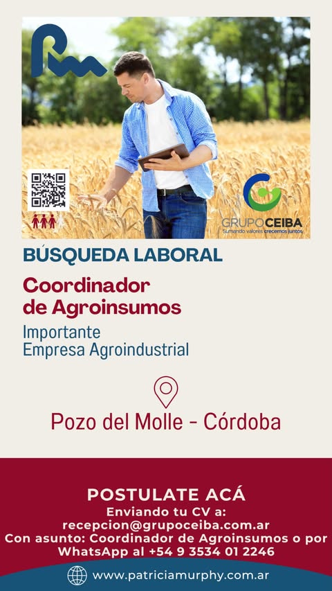 Oferta 25147