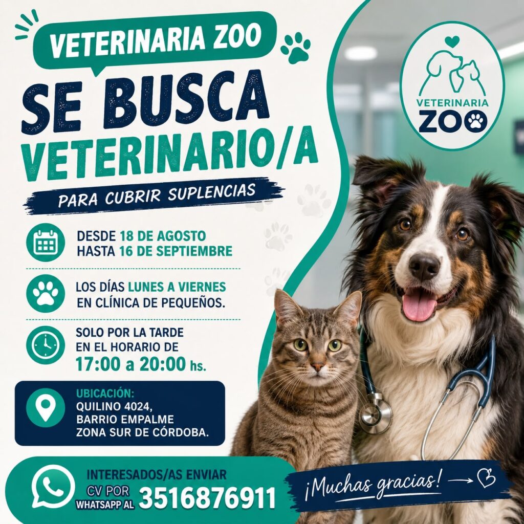 Oferta 24797