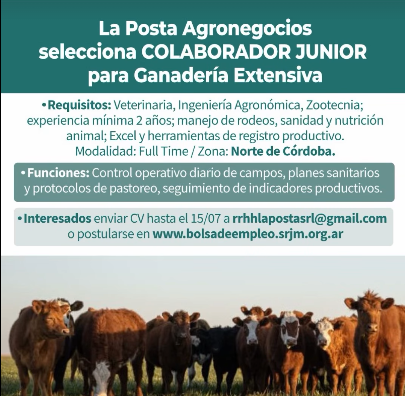Oferta 24699