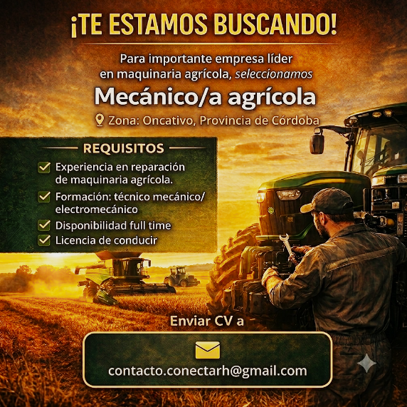 Oferta 24702