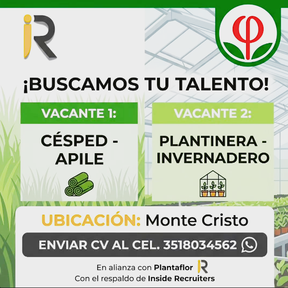 Oferta 24734