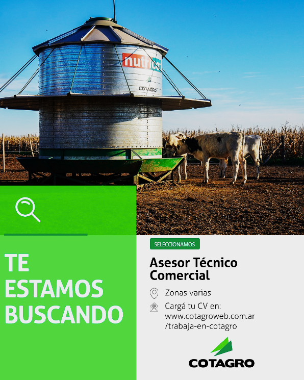 Oferta 24754