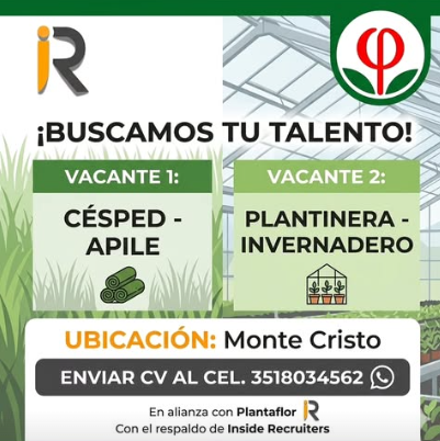 Oferta 24808