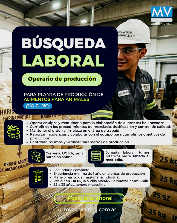 Oferta 24816