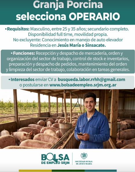 Oferta 24985