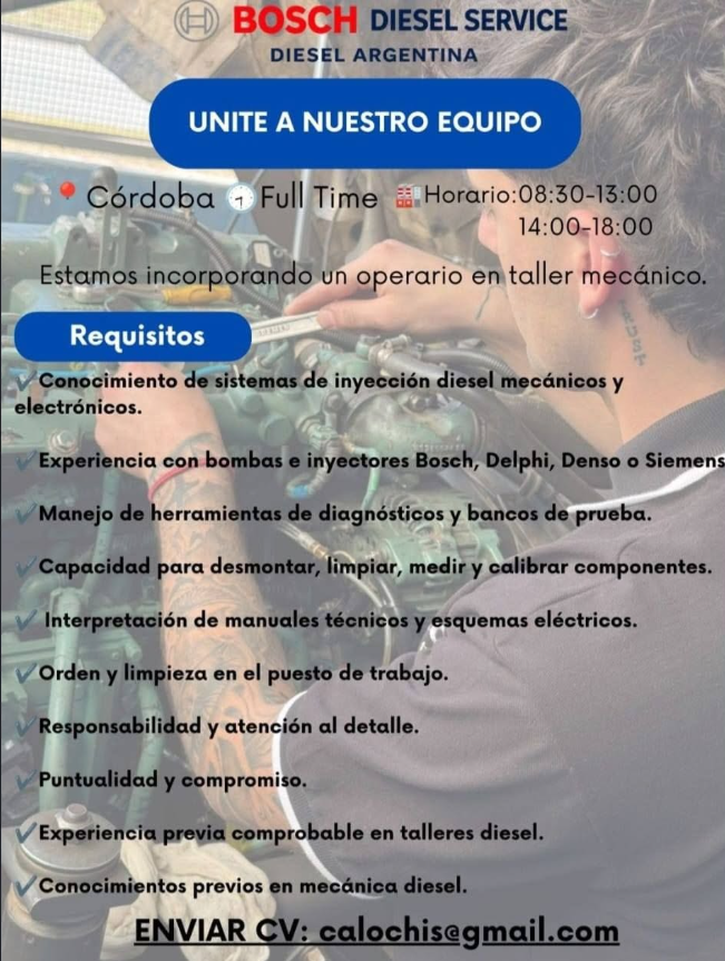 Oferta 25326