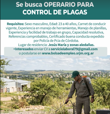 Oferta 25362