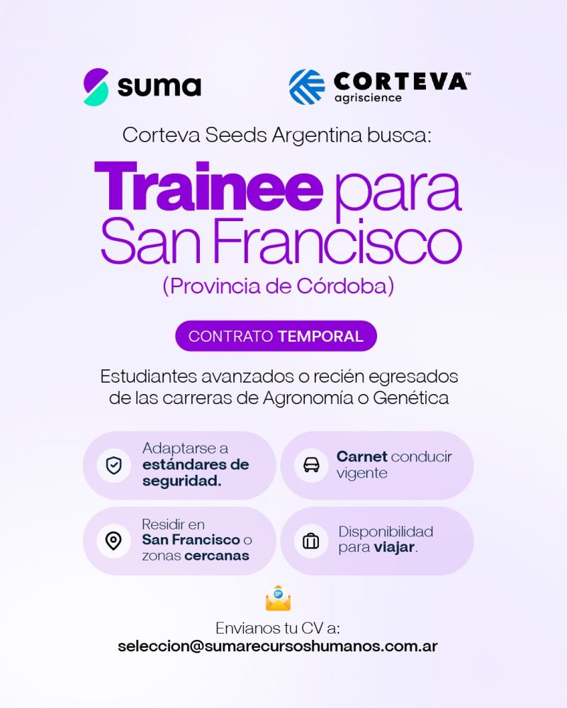 Oferta 25938
