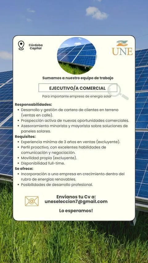 Oferta 25863