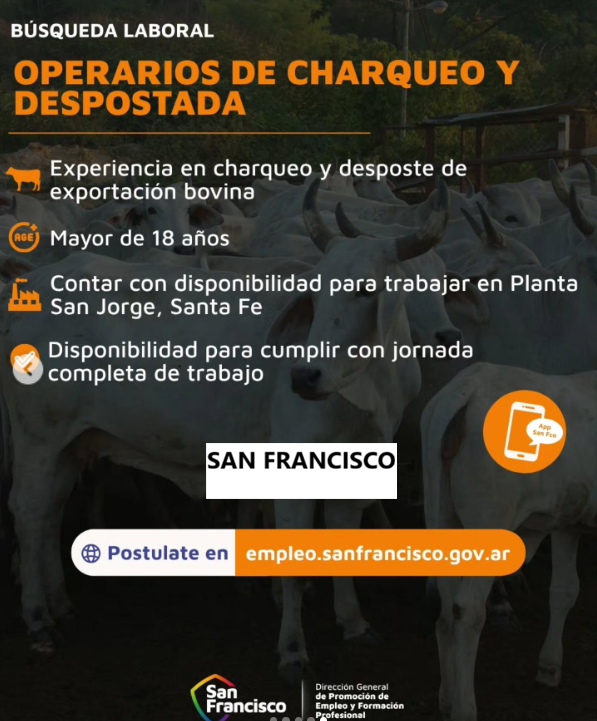 Oferta 26138