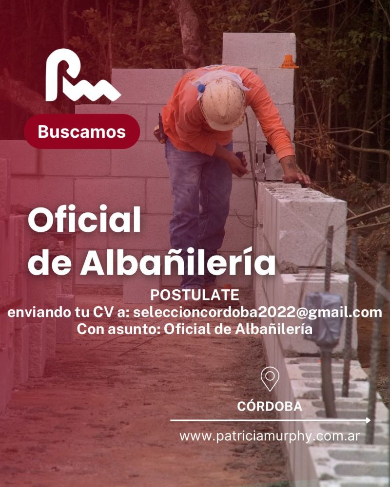 Oferta 26561