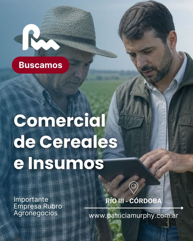 Oferta 26703