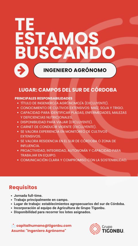 Oferta 26876