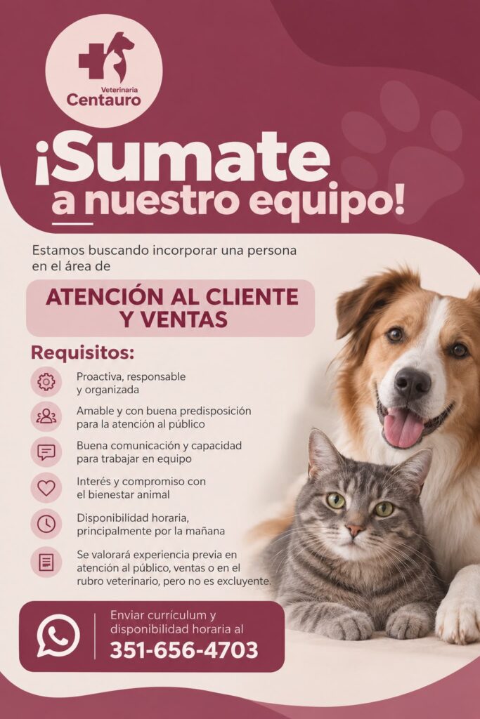 Oferta 26685