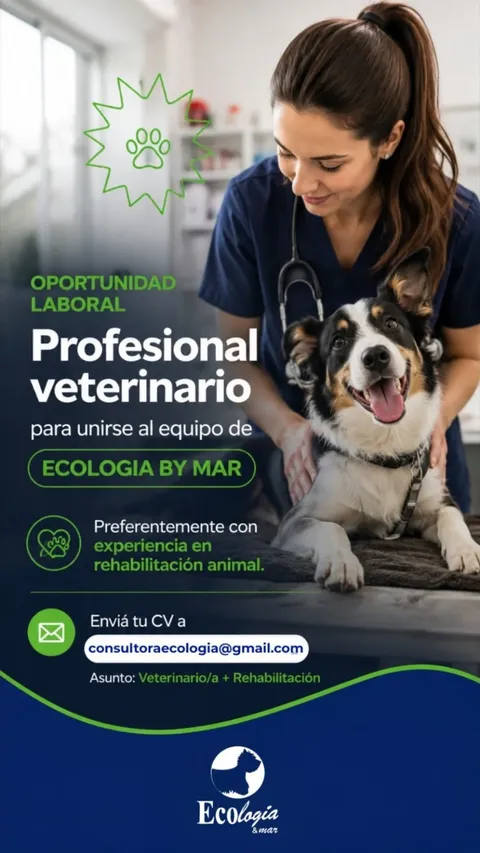 Oferta 26295