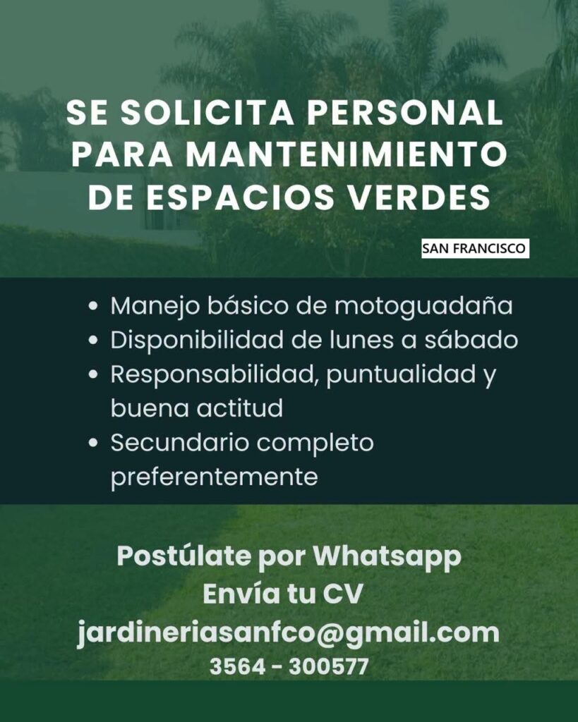Oferta 26514
