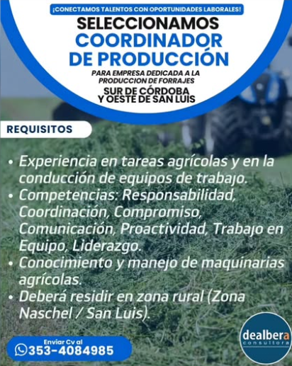 Oferta 26329