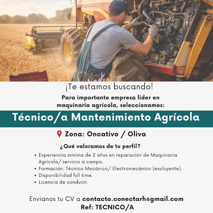 Oferta 26336