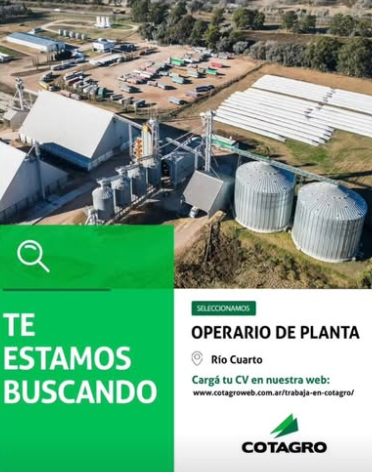 Oferta 26342