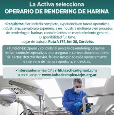 Oferta 26405