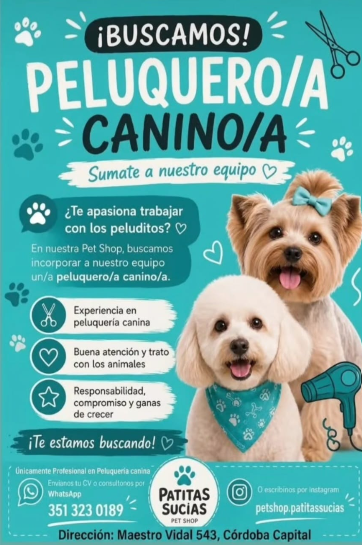 Oferta 26446