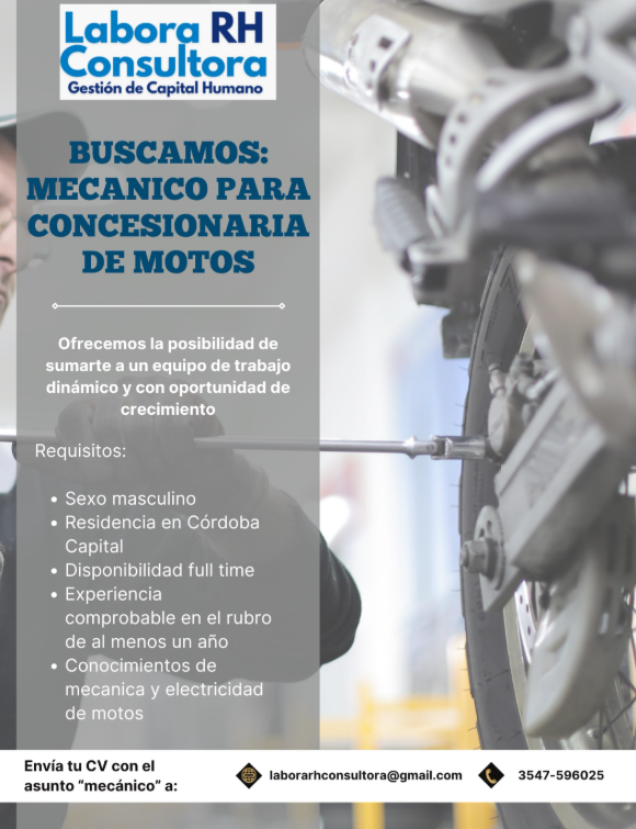 Oferta 26465