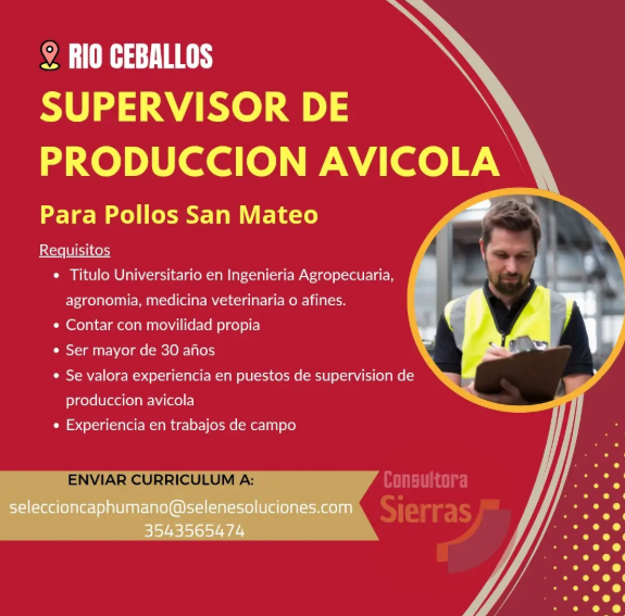 Oferta 26591