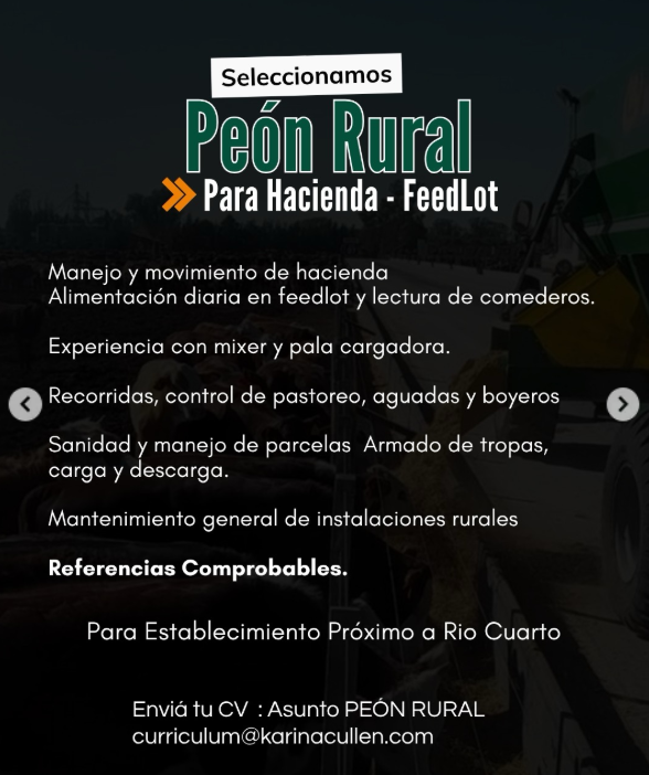 Oferta 26847