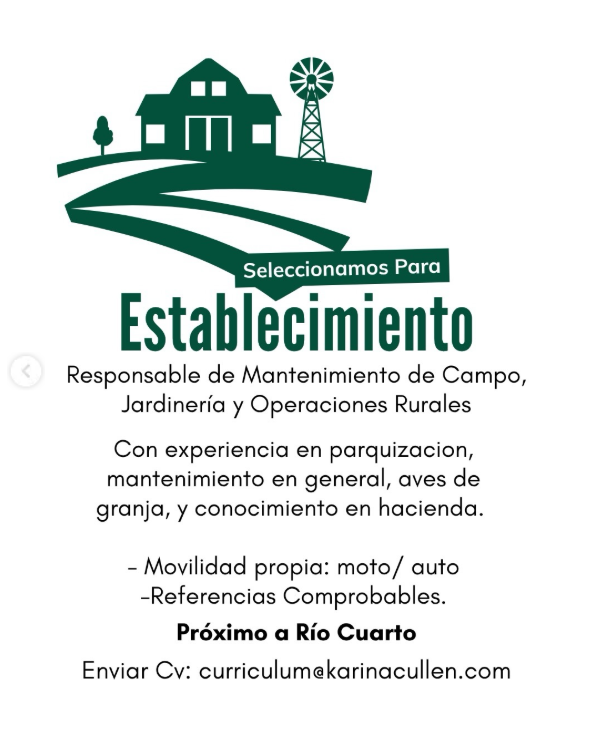 Oferta 26848