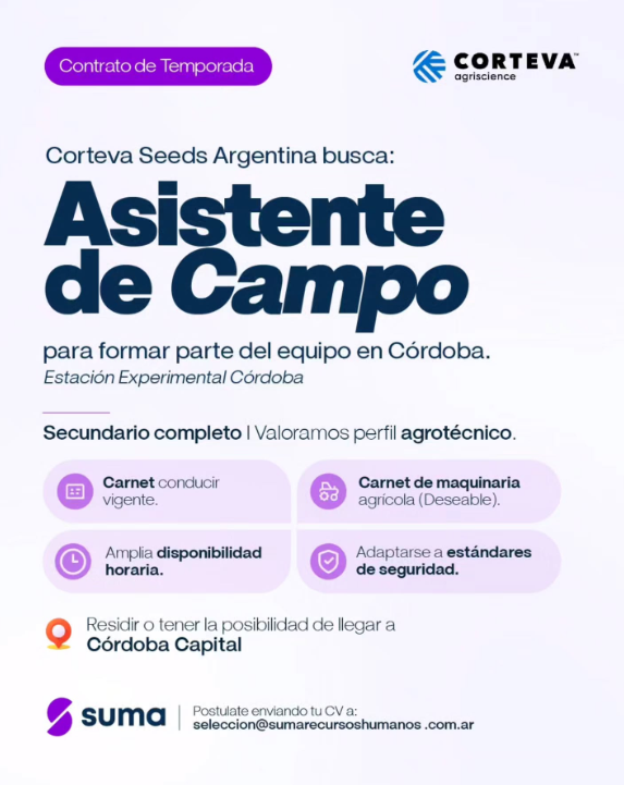 Oferta 26929