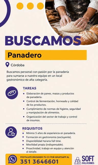 Oferta 26301