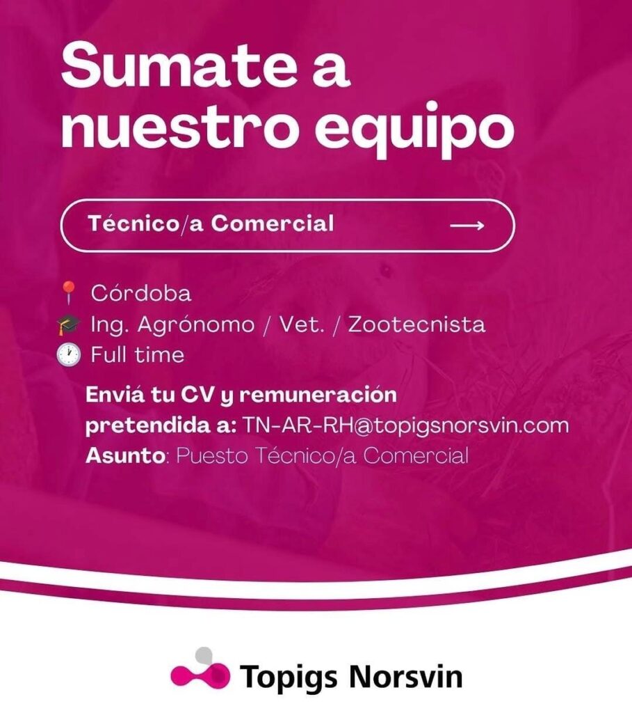Oferta 26346