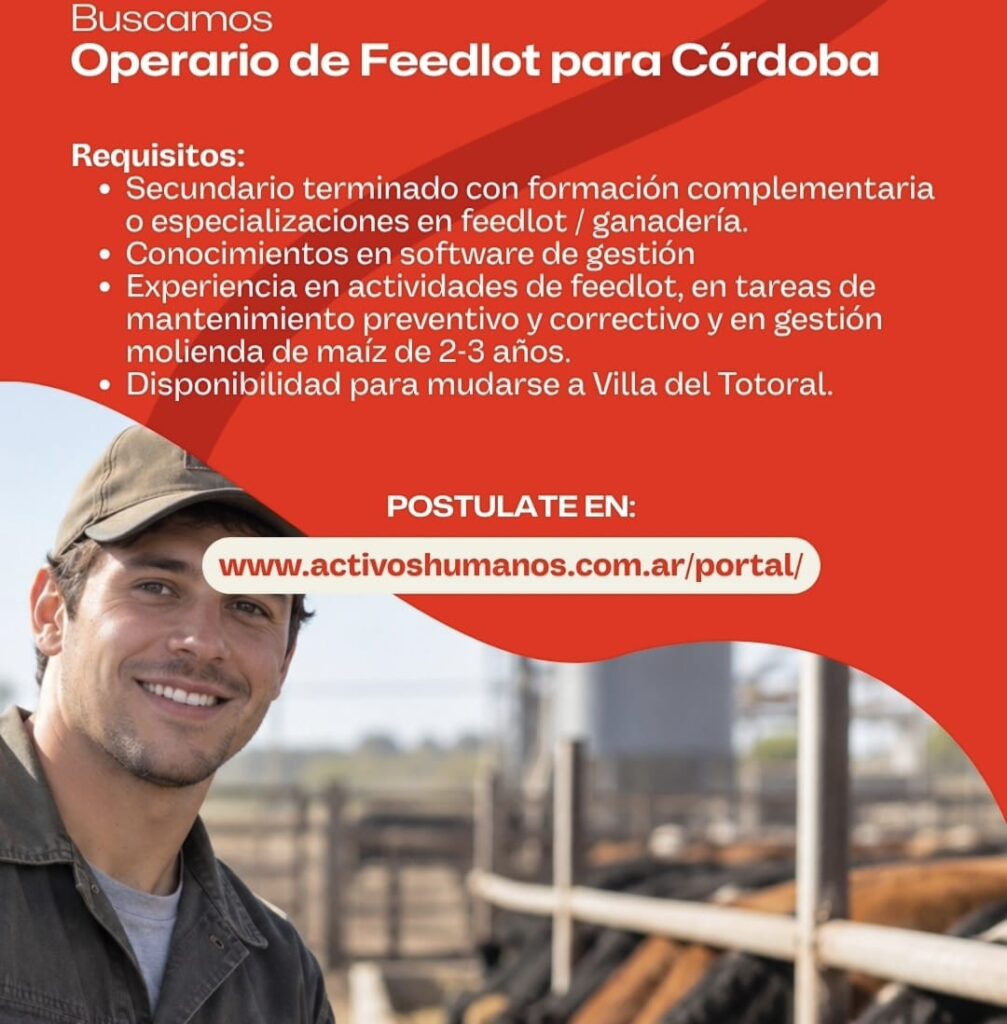 Oferta 26723